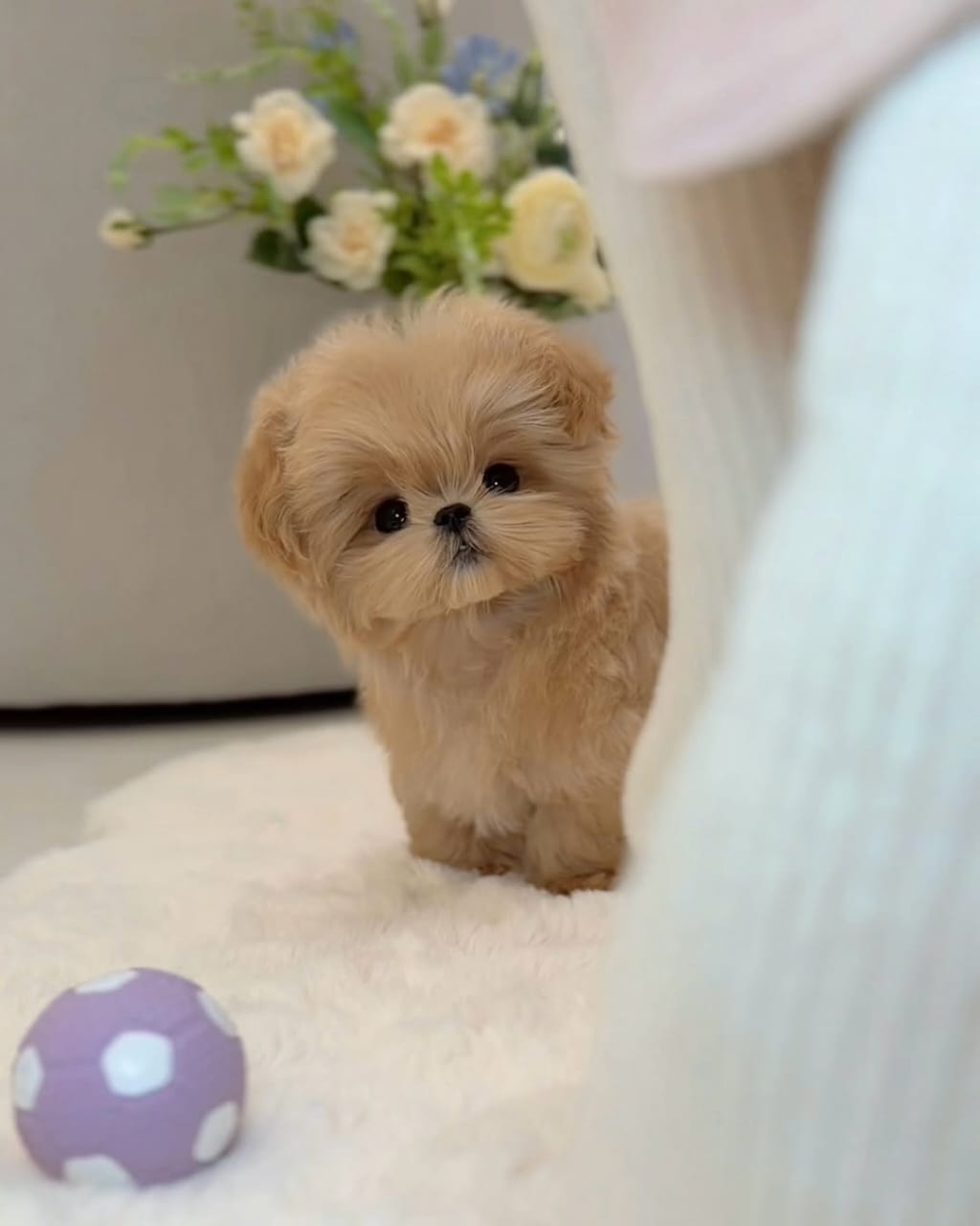 Winston