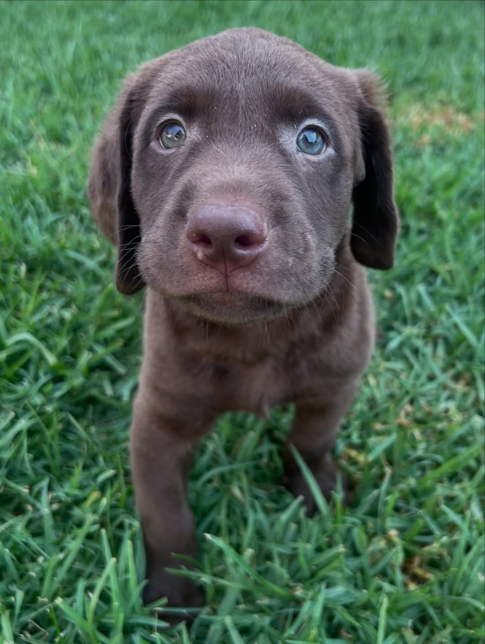 Max