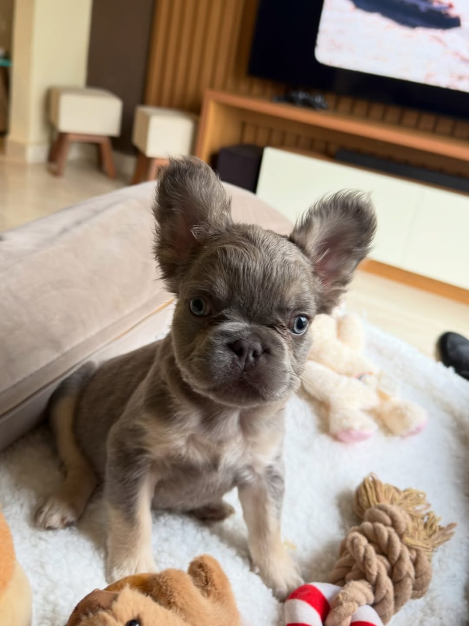 Milo